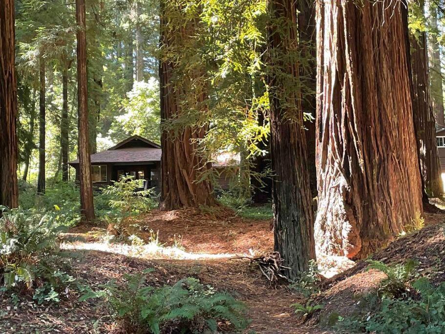 The Groves At Redway Beach - Craftsman Luaran gambar